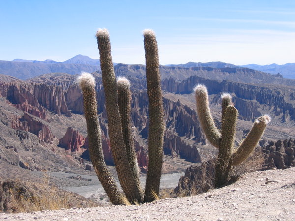 Mountain views in Bolivia