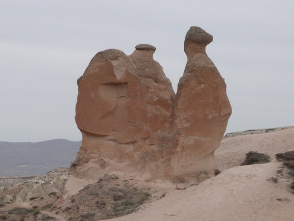 Camel rock formation