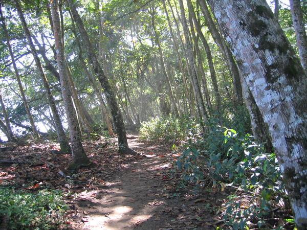 Puerto Viejo trail