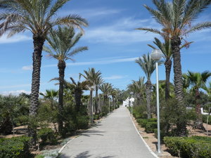 Sidi Bou Said park