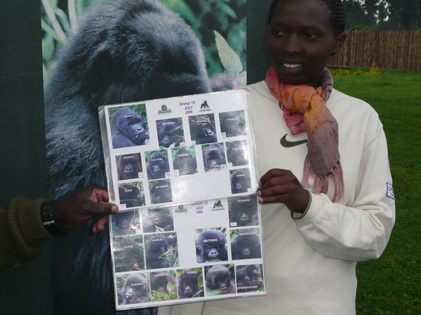 Pictures of the gorilla family
