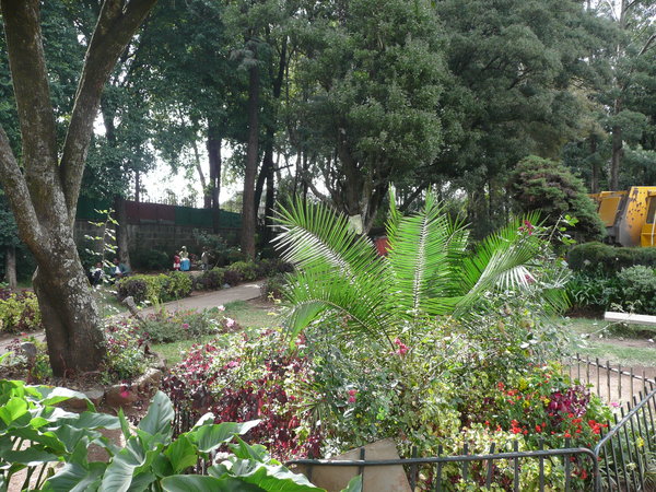 Park garden