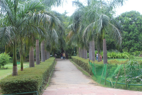 Lodhi gardens, Delhi