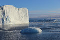 Giant iceberg