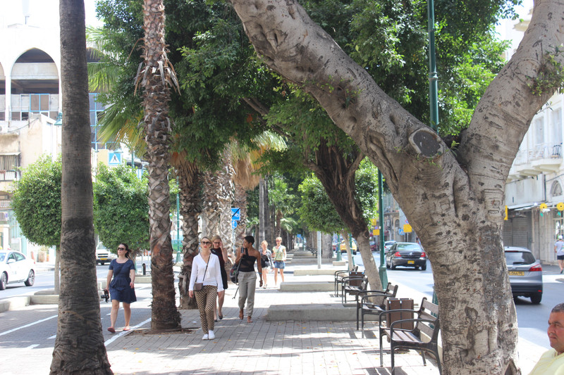 Tel Aviv boulevard