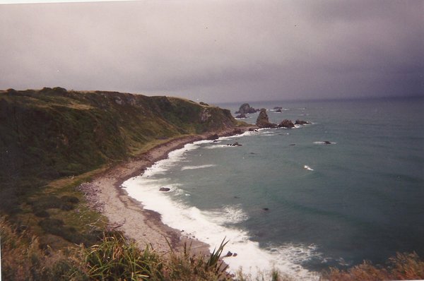 Coast of South Island