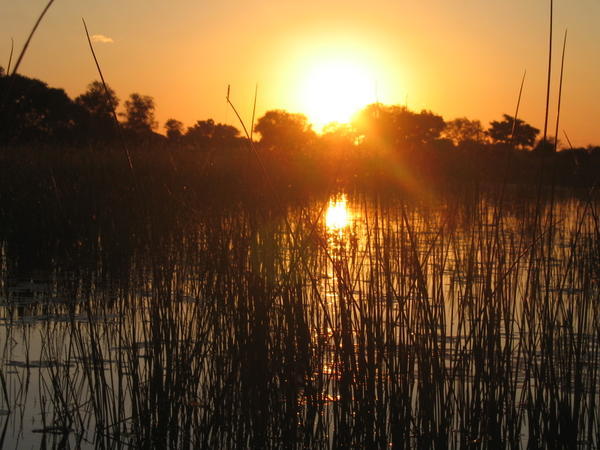Sunset on the Okavango Delta