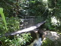 Atitlan Nature Reserve