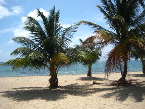 The Placencia beach