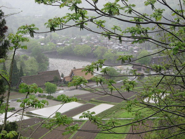 The Village of Shirakawa