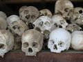 Skulls of Victims at the Choeung Uk Genocidal Center.