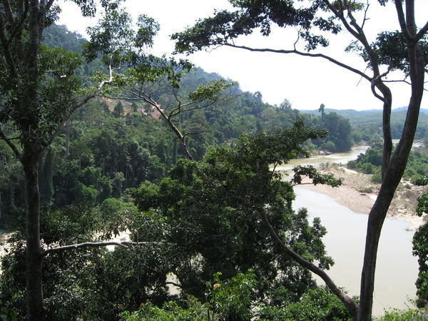 View from the Canopy Walkway
