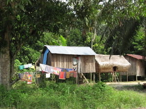 The Local Village