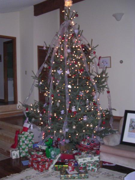 Christmas tree '05