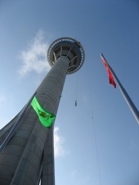 Bungy Jumping off Macau Tower