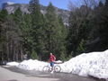 Cycling by the snow