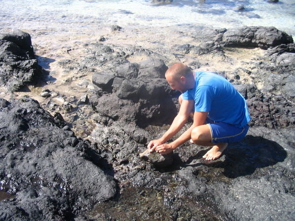 Playing in the rockpools