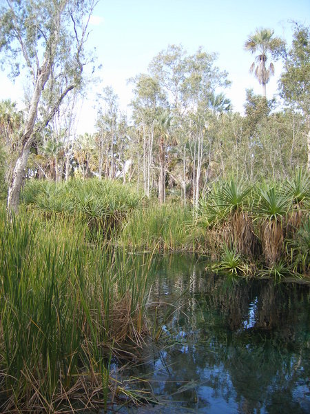 Bitter Springs NT