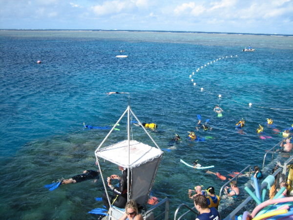 Great  Barrier Reef-Pt Douglas