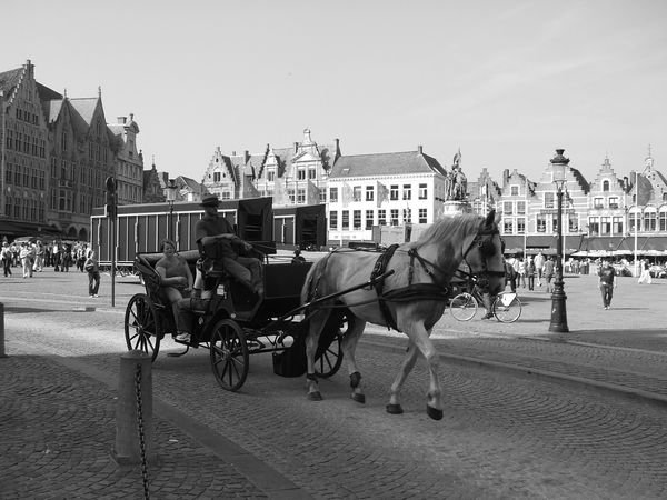 Horse and Carriage in Bruge