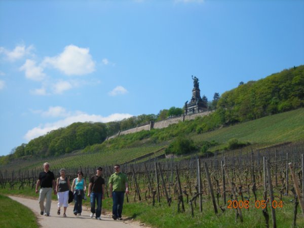 Walking through the vineyards