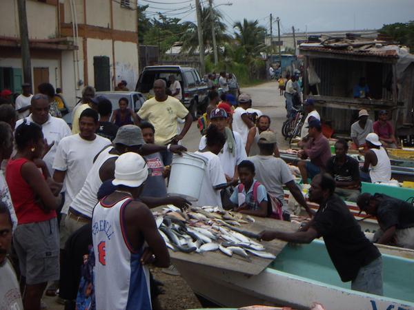 Belize City fish market