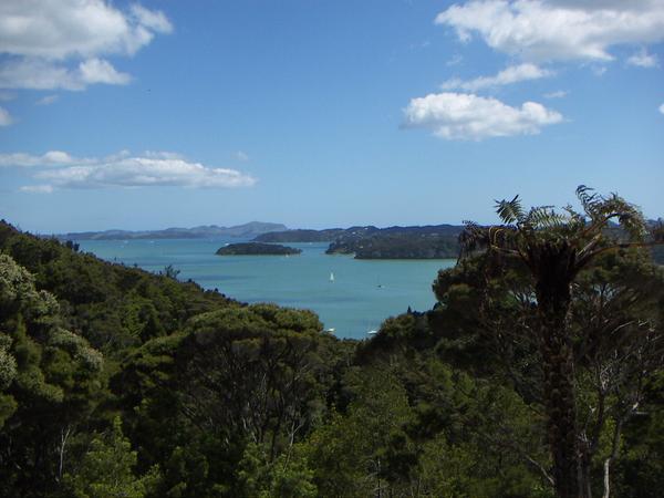 One more from this Bay of Islands beauty