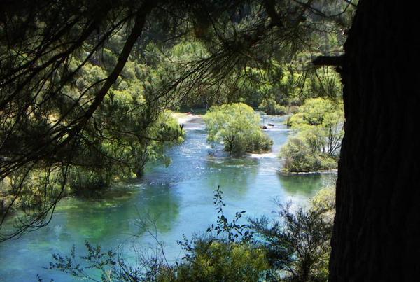The Beautiful Waikato river