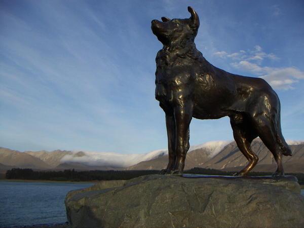 Colley dog statue, Lake Tekapo