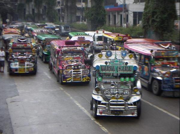 Jeepneys, jeepneys everywhere!