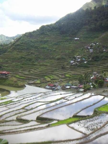 yes you get the idea..more rice terraces.