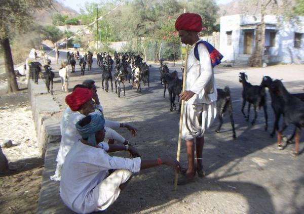 Rural life in Rajasthan