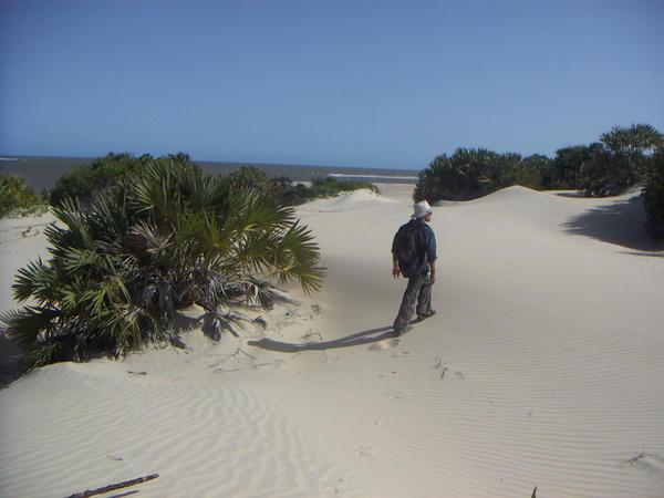 The dunes of 12km-long Shela Beach