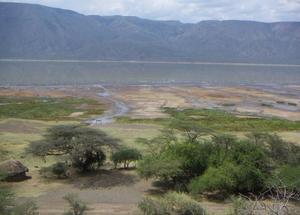 Lake Bogoria again