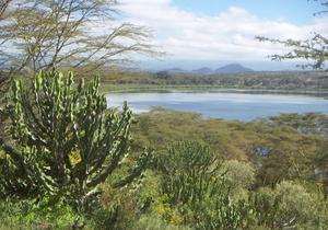 Yet another photo of Lake Naivasha