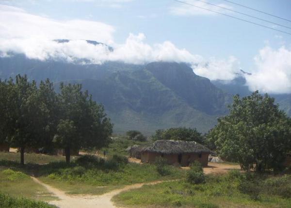 Bus trip into these - the Usambara mountains