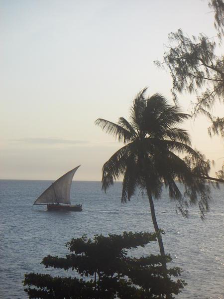 Dhow boat on the waters