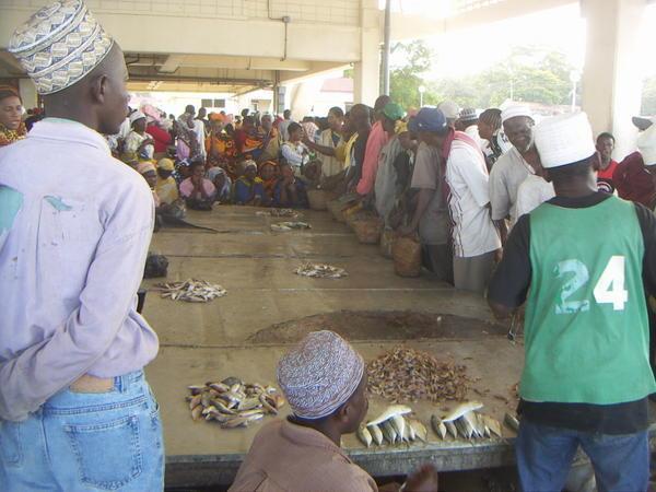 Dar Es Salaam fish market auction
