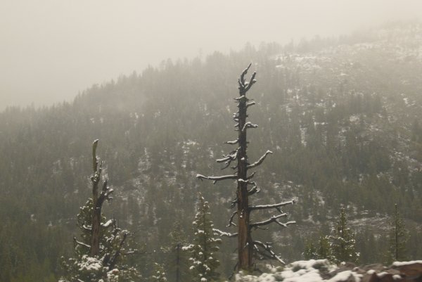 Sierra Nevada snowstorm triplicate 2/3