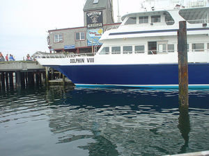 The DolphinVIII boat 