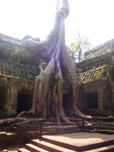 Temple at Angkor Wat