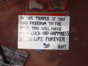 Temple & Buddha