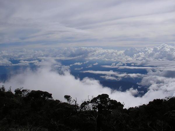 View Over Borneo