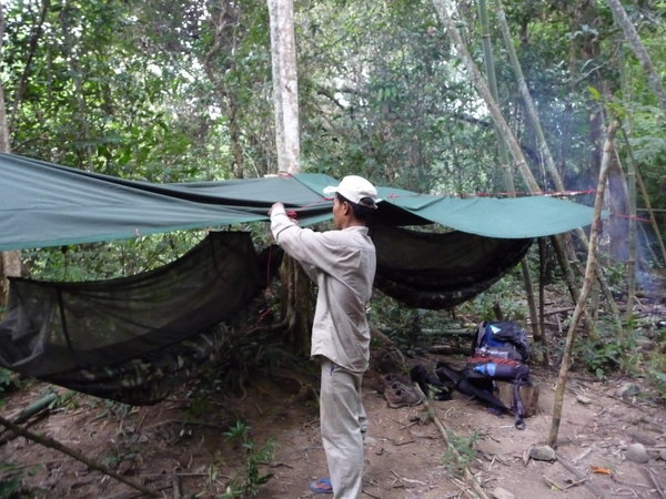 Jungle camp