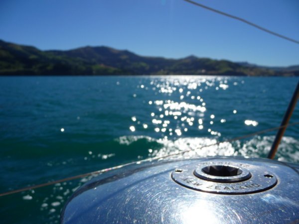 Sailing at Akaroa