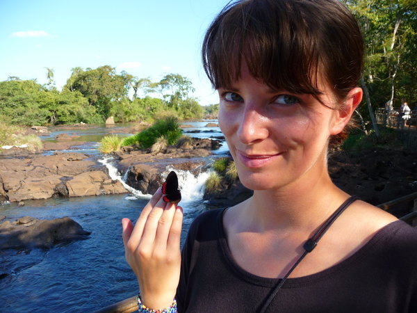 Tame butterflies at Iguazu