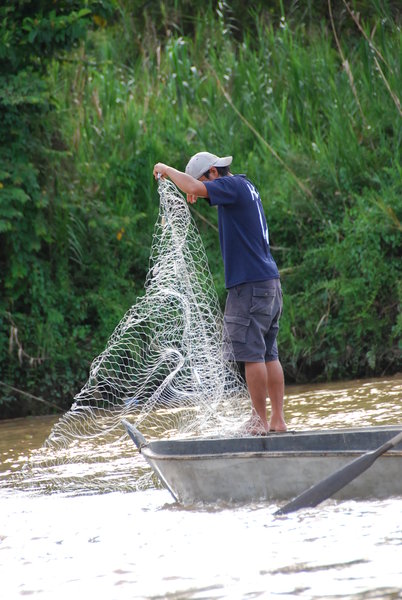 Fisherman fishing in the Kinabatangan river