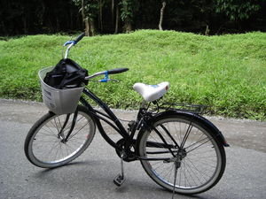 My Rental Bike My Rental Bike