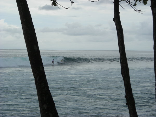 Surfers catch a wave
