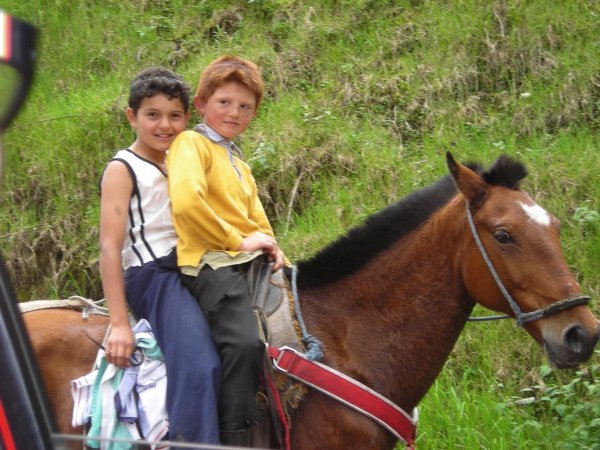 Boys on Horse
